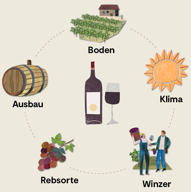Spanische Rotweine | VINOS, kaufen Spanien-Spezialist